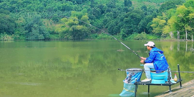 nằm mơ thấy cá Nằm mơ đang câu cá