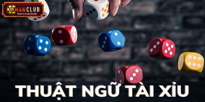 tài xỉu online Tổng hợp những thuật ngữ quan trọng trong game tài xỉu online